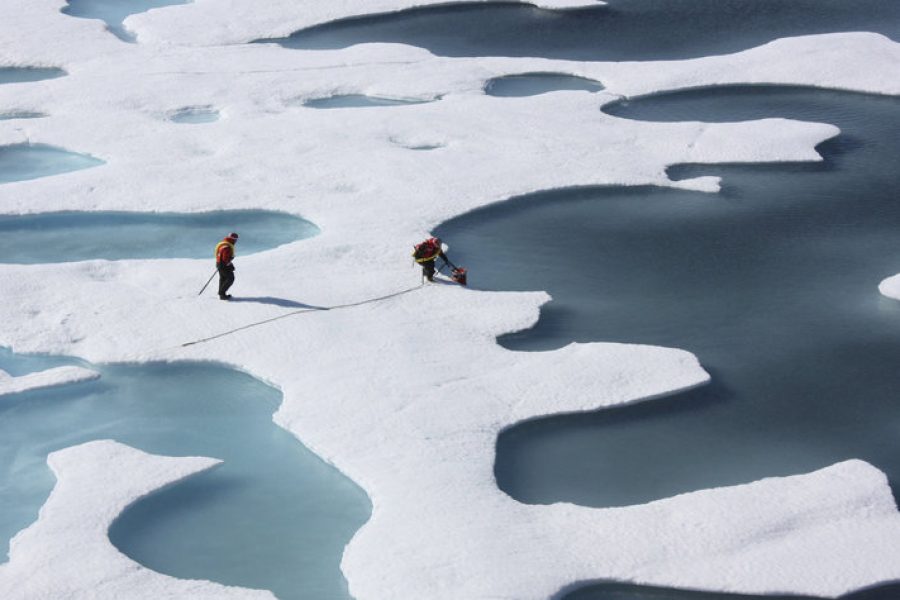 Klimawandel und die Arktis: Im Sommer ohne Eis