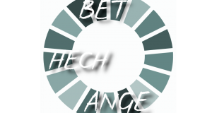 SDG-Wheel-Tina-Teucher-Be-the-change-InnovationsGeist-IHK