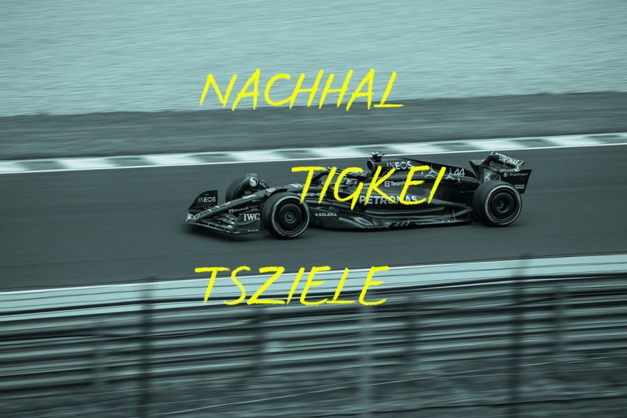 Nachhaltigkeitsziele im Club of Rome Kamingespräch: Wie schaffen wir die SDGs doch noch?